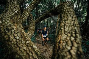 BIB: 
                            <button type="button" onclick="openModal(25668034)" class="btn btn-primary btn-sm float-right btn-popup" data-toggle="modal" data-target=".modal-high-quality">
                        <i class="fas fa-shopping-cart"></i> Add to Cart
                    </button>
                                            <button type="button" onclick="isThisMe(25668034, true)" class="btn btn-success btn-sm float-right btn-popup btn-isme hidden" data-toggle="tooltip" data-placement="bottom" title="นี่คือรูปของคุณใช่ไหม คลิกที่นี่เพื่อเอาเข้าอัลบั้ม">
                        <i class="fas fa-plus"></i> Add to album
                    </button>
                    <button type="button" onclick="isThisMe(25668034, false)" class="btn btn-warning btn-sm float-right btn-popup btn-isnotme hidden">
                        <i class="fas fa-ban"></i> Remove from album
                    </button>